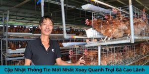 Cập Nhật Thông Tin Mới Nhất Xoay Quanh Trại Gà Cao Lãnh 3 Tin tức mới nhất xoay quanh trại gà Cao Lãnh